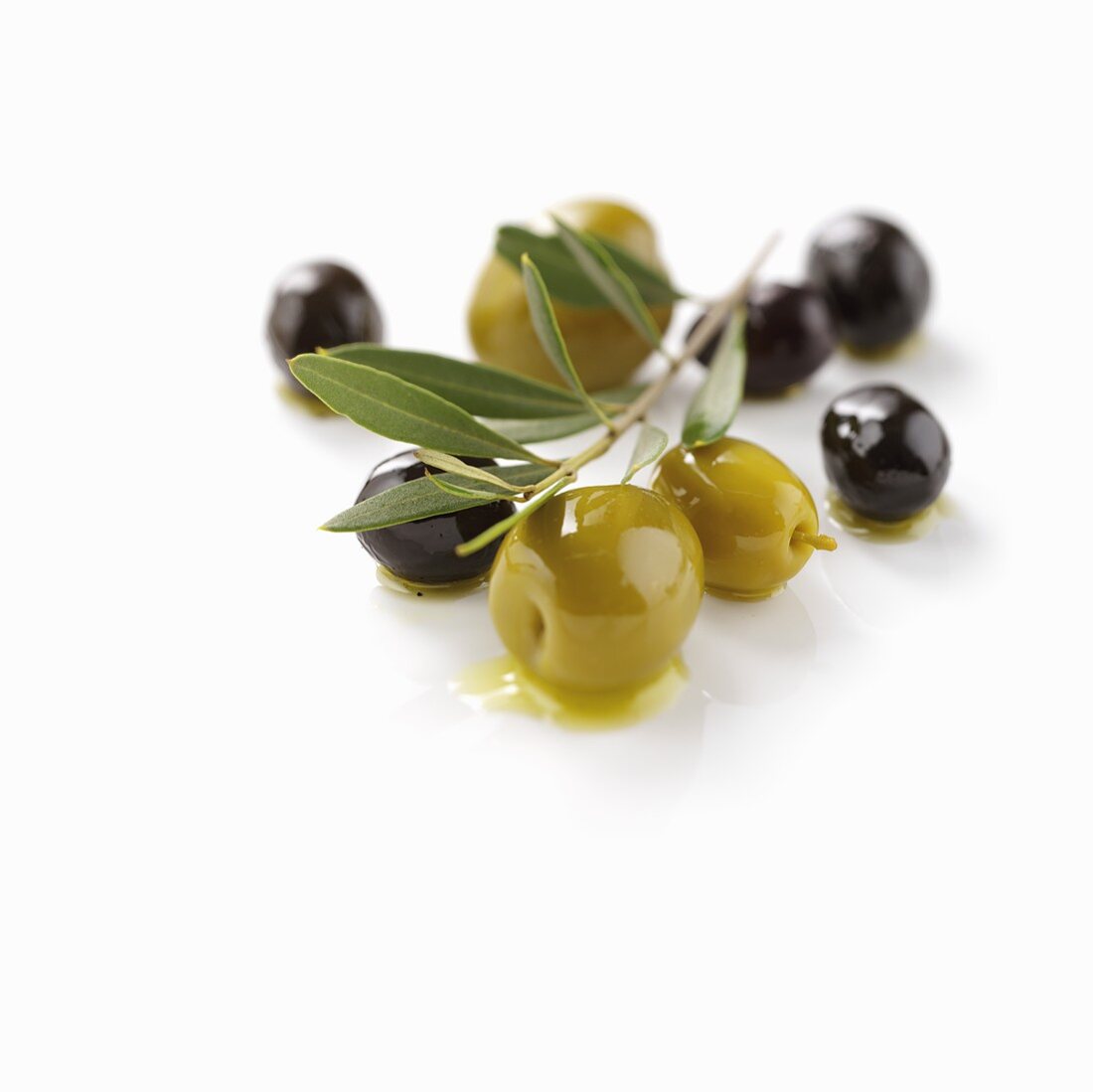 Grüne und schwarze Oliven und Olivenzweig