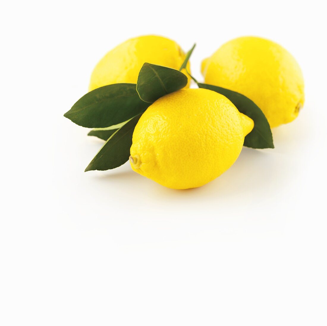 Three lemons with leaves