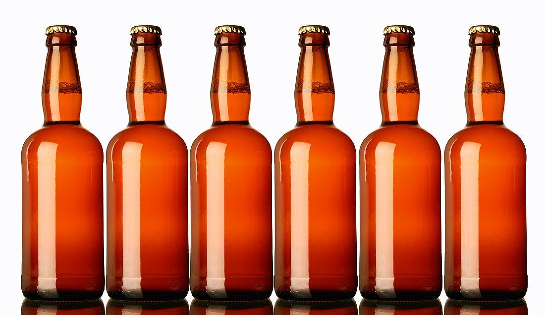 Sechs Bierflaschen ohne Etikett