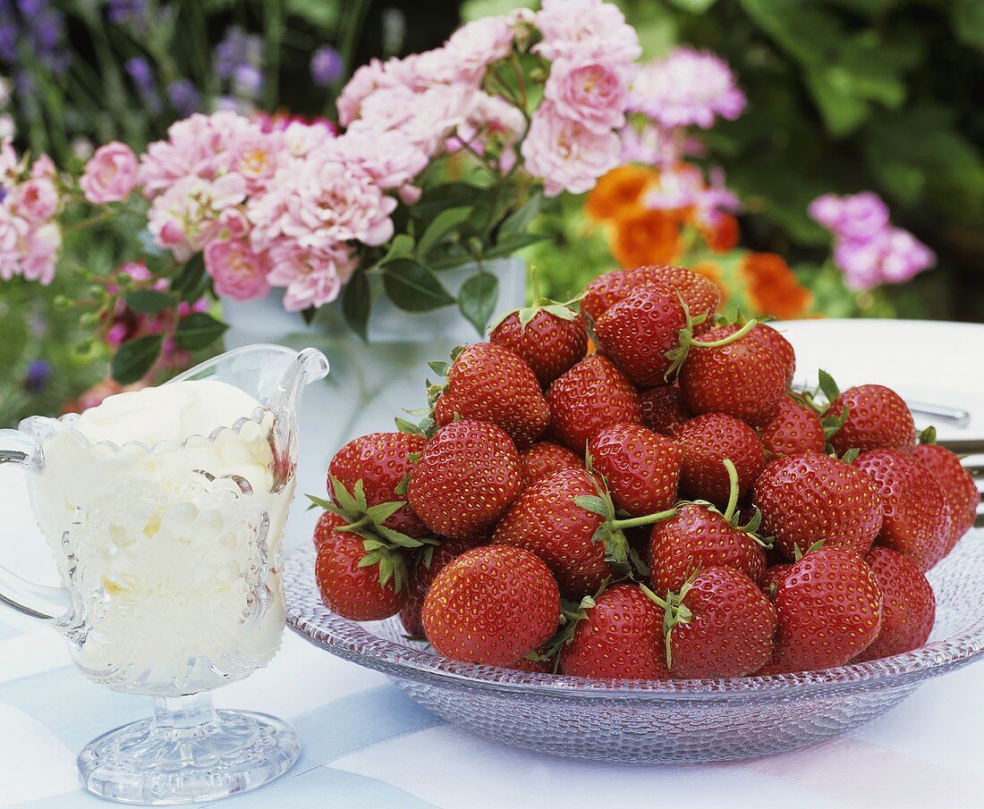 Frische Erdbeeren und Schalgsahne auf einem Gartentisch