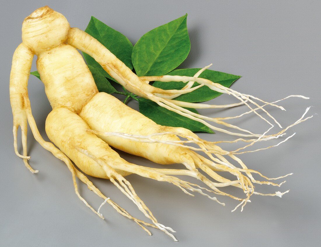 Ginseng root and leaves