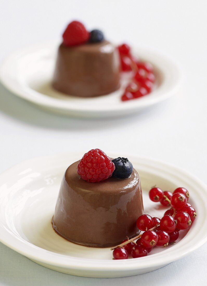 Chocolate panna cotta with fresh berries