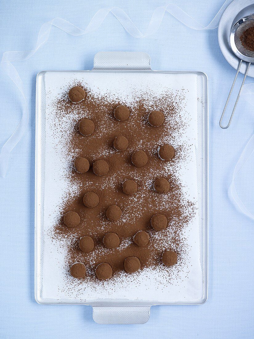 Chocolate truffles with cocoa powder