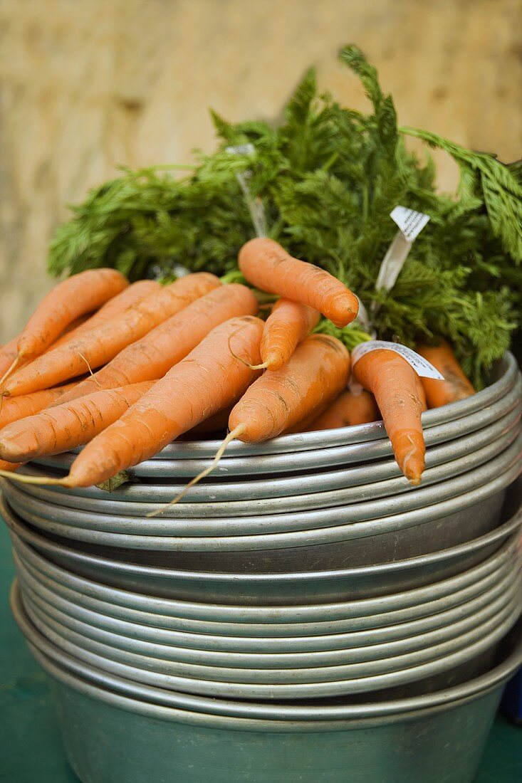 Fresh carrots on a pile of dishes