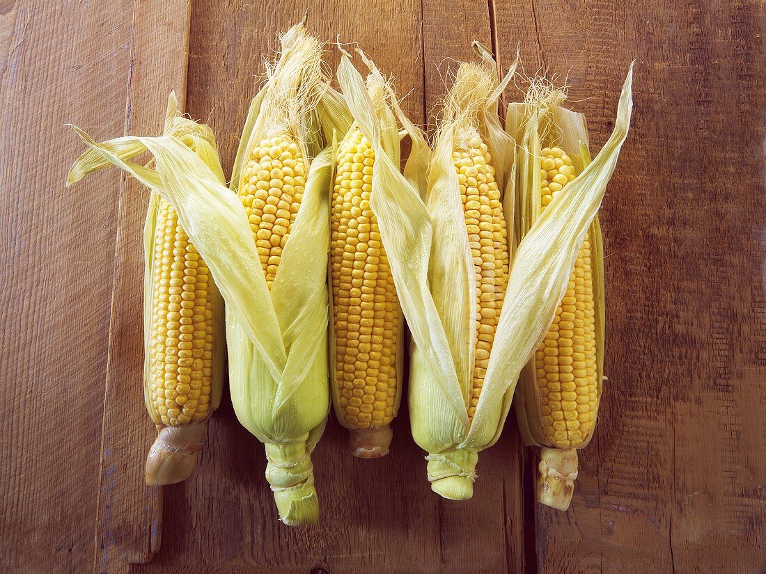 Five cobs of corn