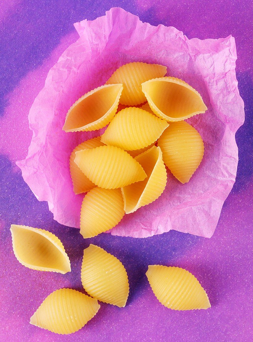 Pasta shells