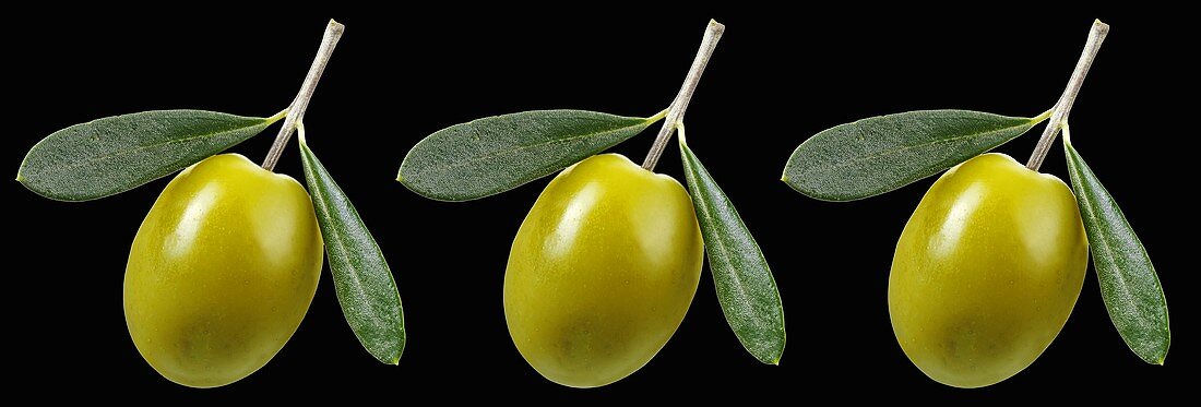 Three green olives with leaves on black background