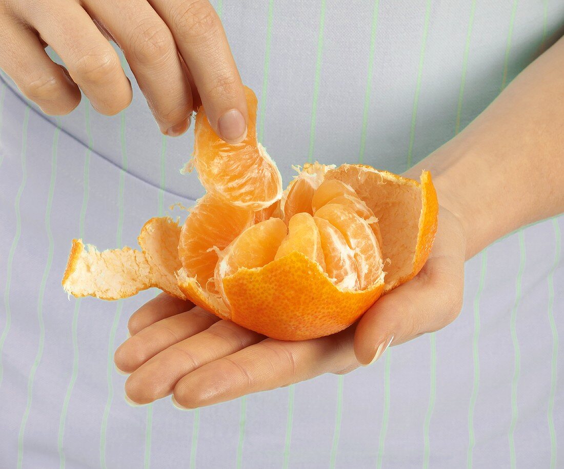 Dividing a mandarin orange into segments