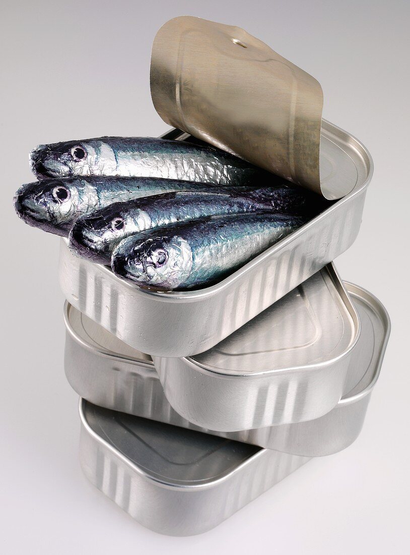 Sardines poking out of opened tin on pile of tins