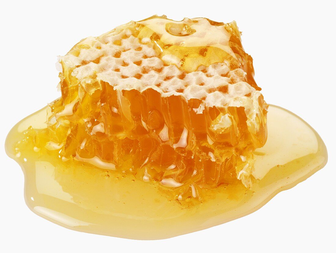 A piece of honeycomb with honey