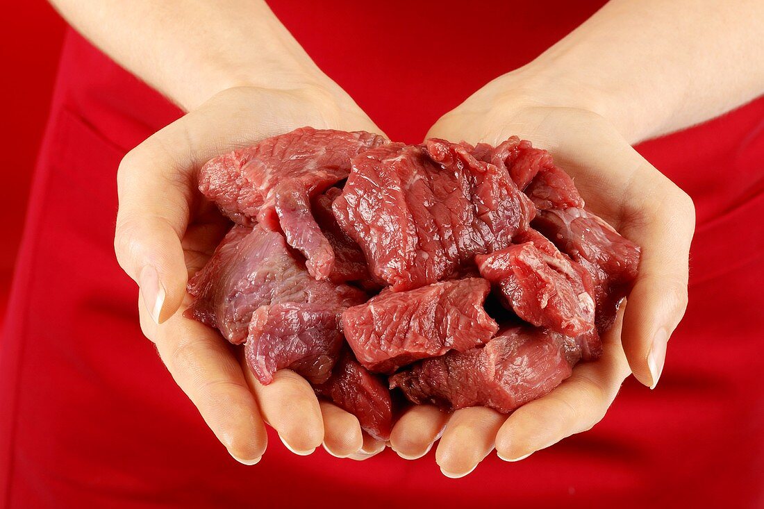 Hands holding fresh stewing meat