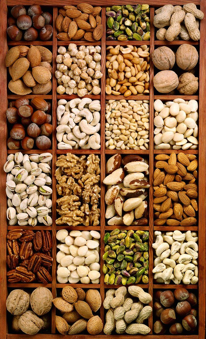 Various types of nuts in a typesetter's case