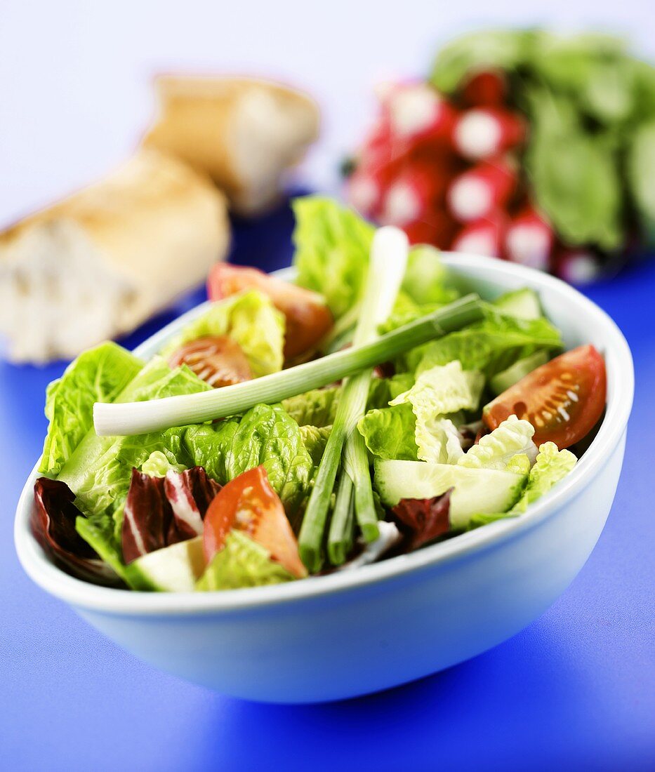 Mixed salad with spring onions and tomatoes