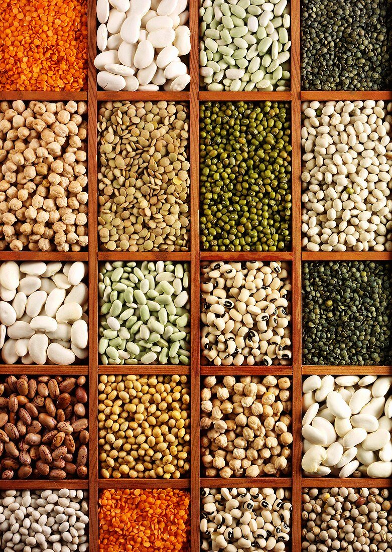 Various types of pulses in a typesetter's case