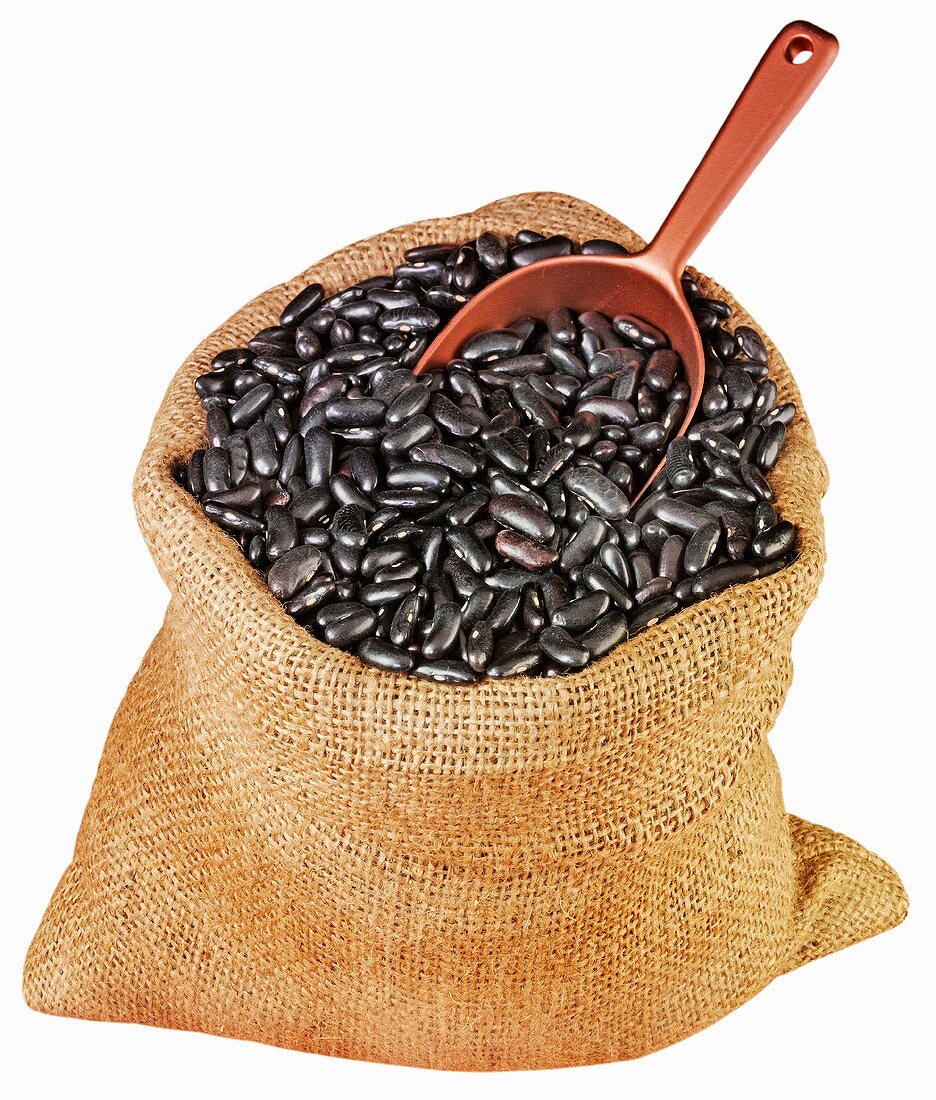 Black kidney beans in jute sack with scoop