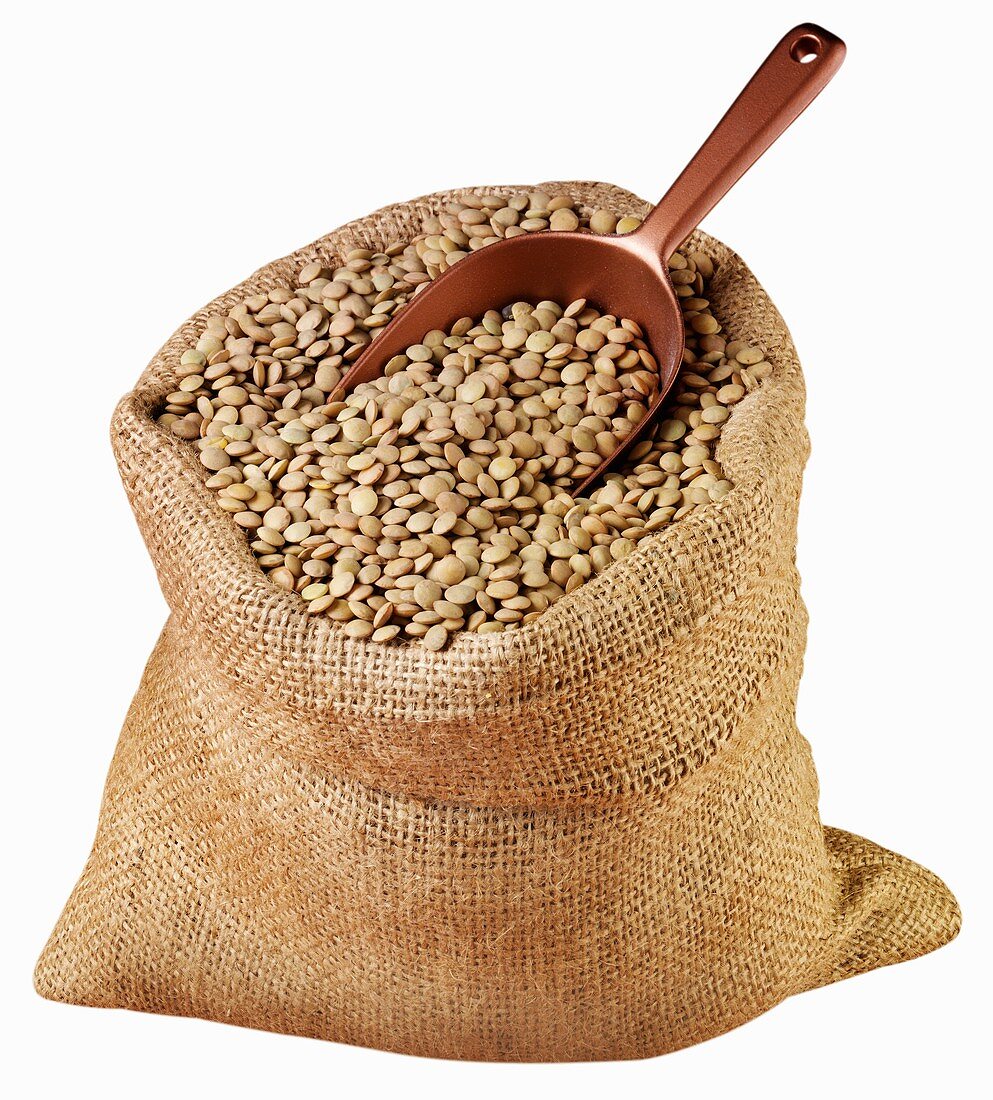 Green lentils in jute sack with scoop