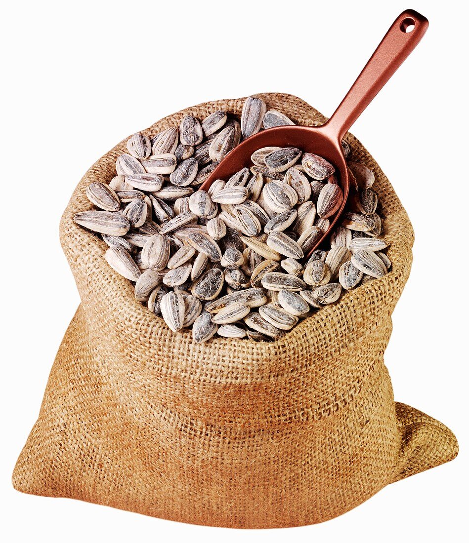 Sunflower seeds in jute sack with scoop
