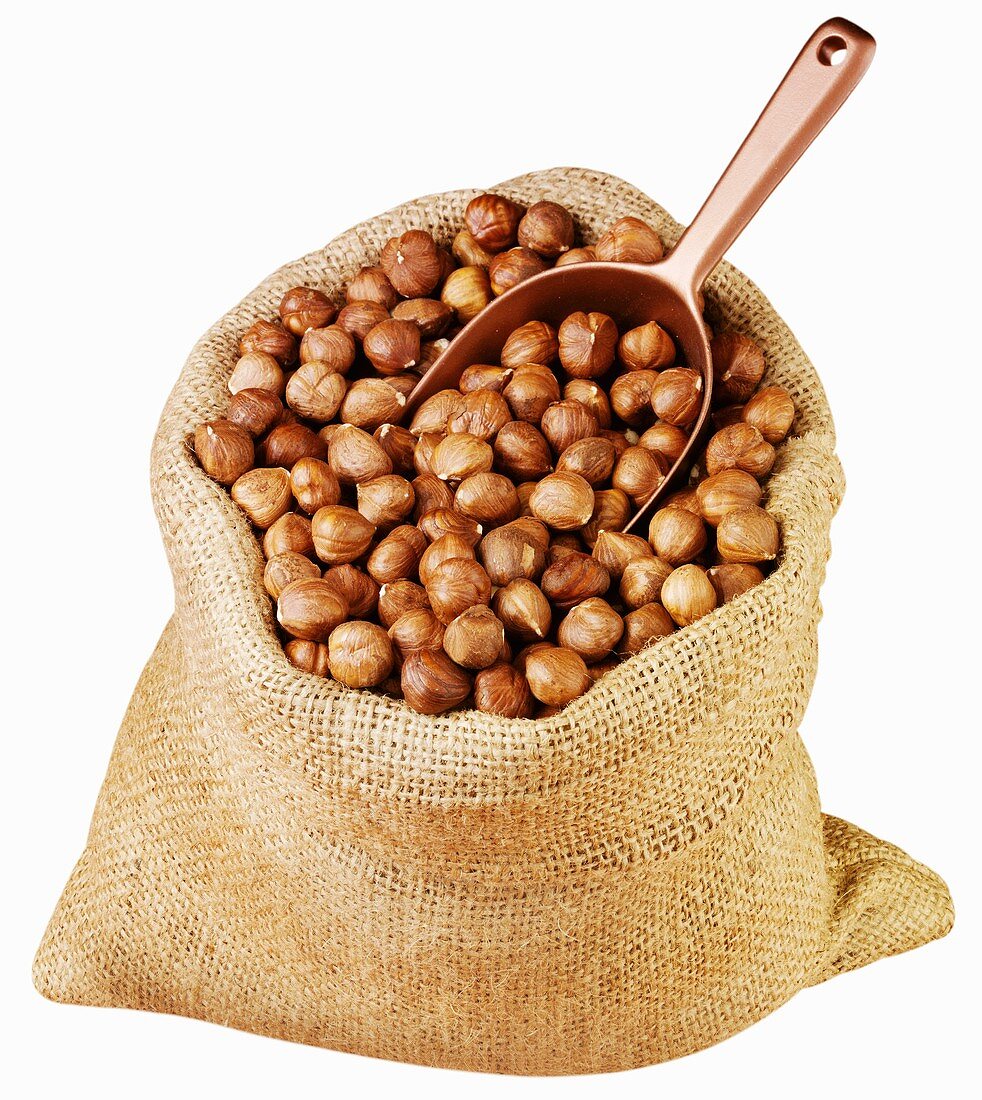 Shelled hazelnuts in jute sack with scoop