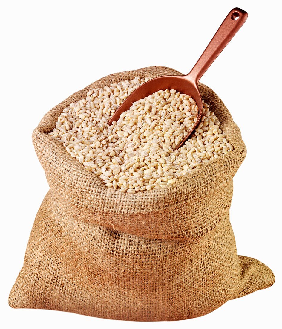Pearl barley in jute sack with scoop