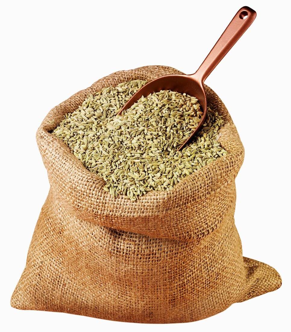 Fennel seeds in jute sack with scoop