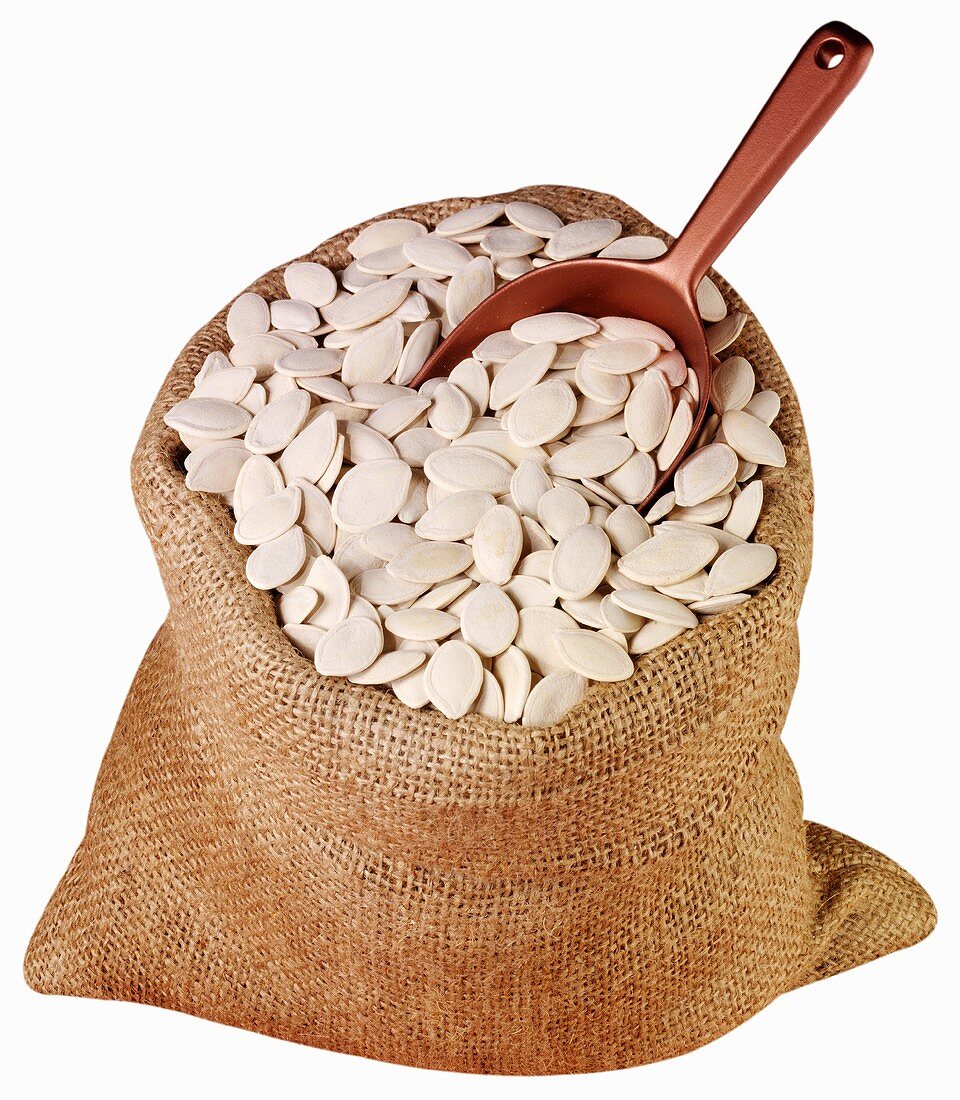 White pumpkin seeds in jute sack with scoop