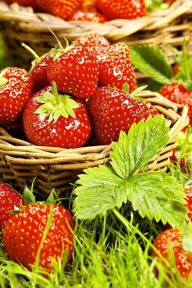 Strawberries in a small basket