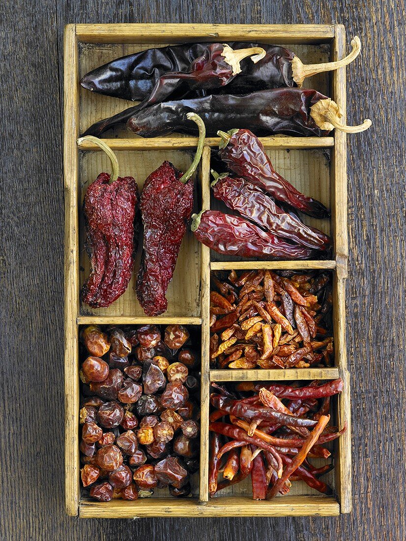 Various types of dried chillies in a type case