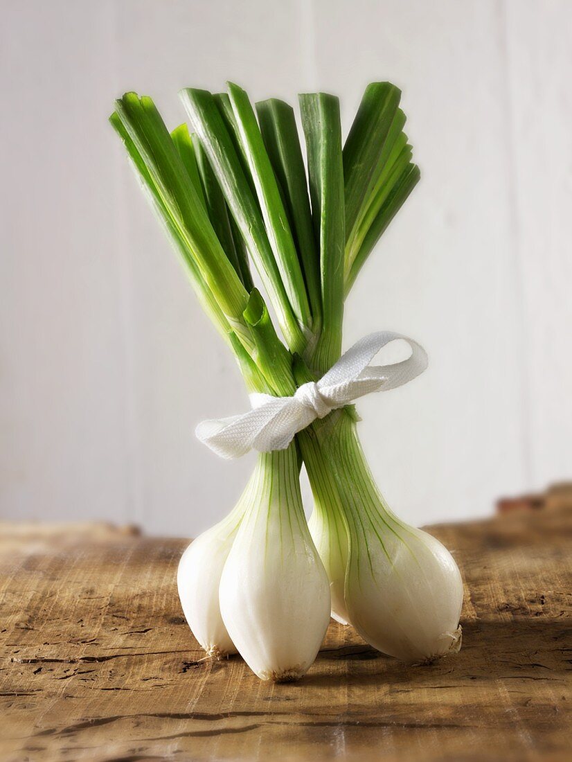 Spring onions, tied together