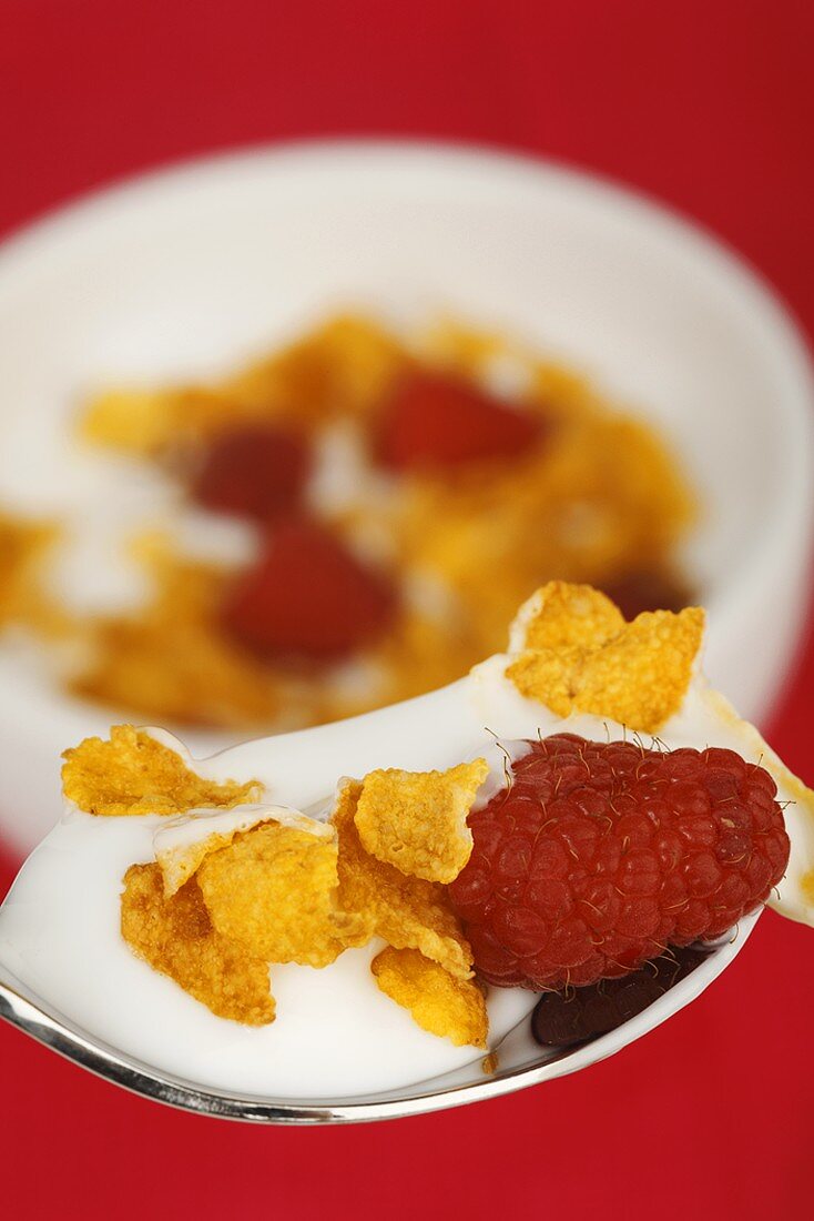 Cornflakes with raspberry and yoghurt on a spoon