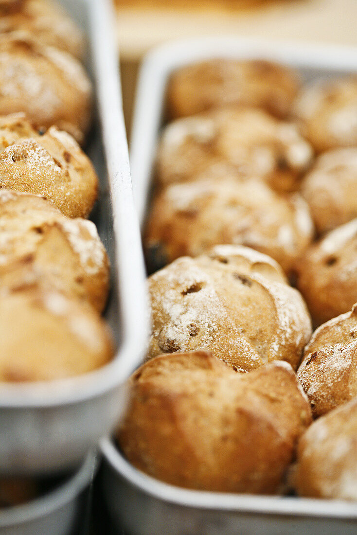 Freshly baked bread rolls