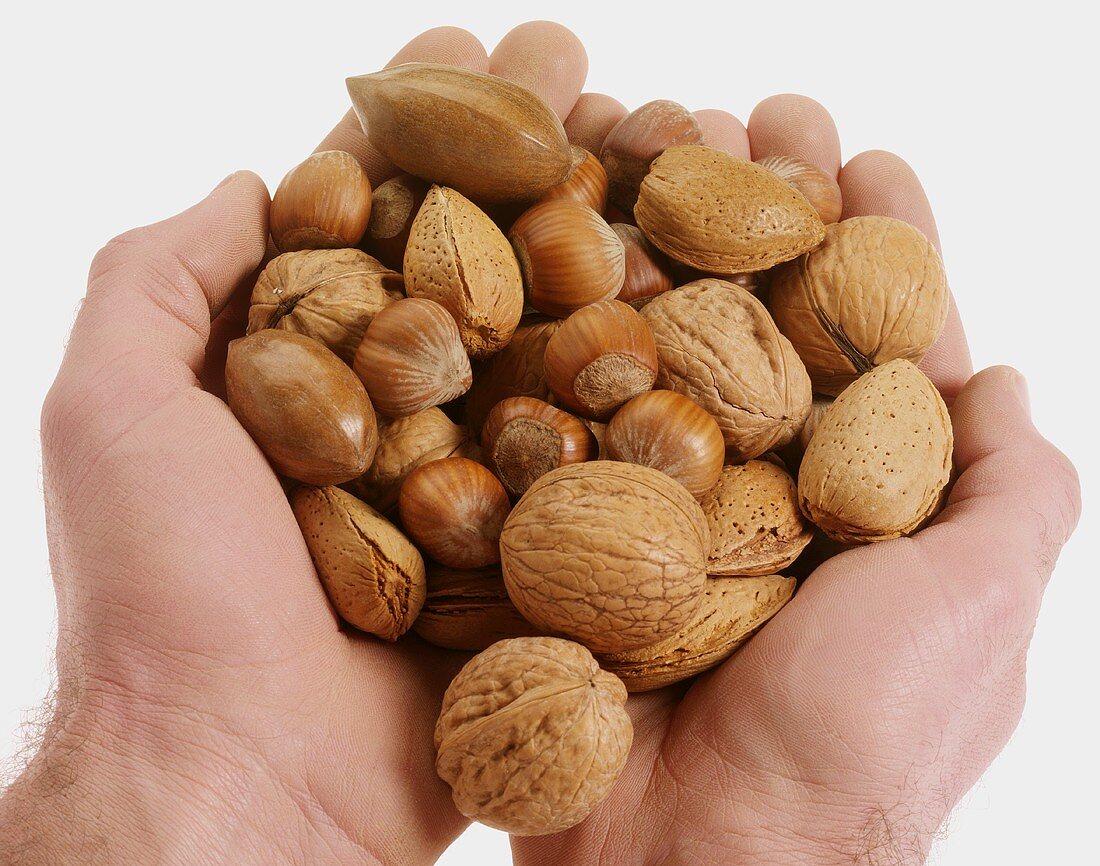 Two hands holding assorted nuts