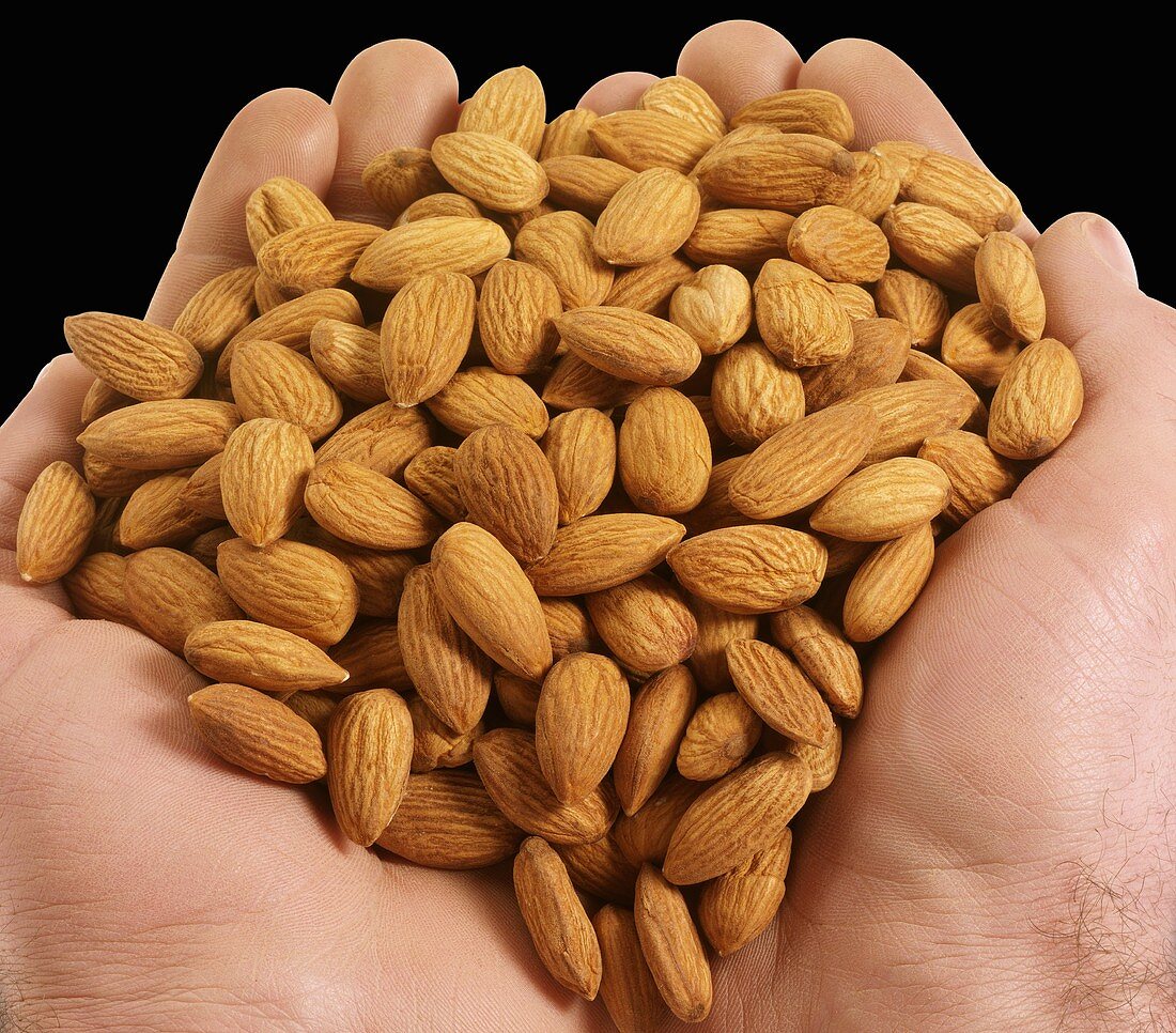 Two hands holding almonds