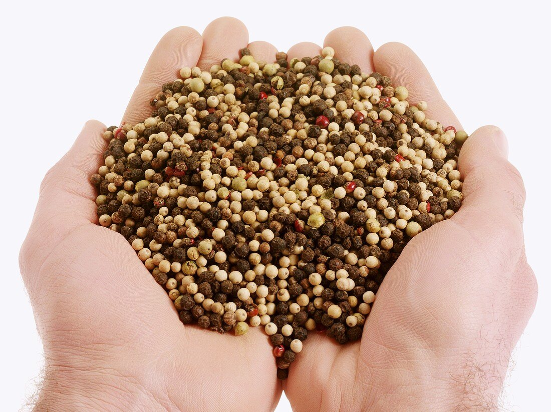 Hands holding coloured peppercorns
