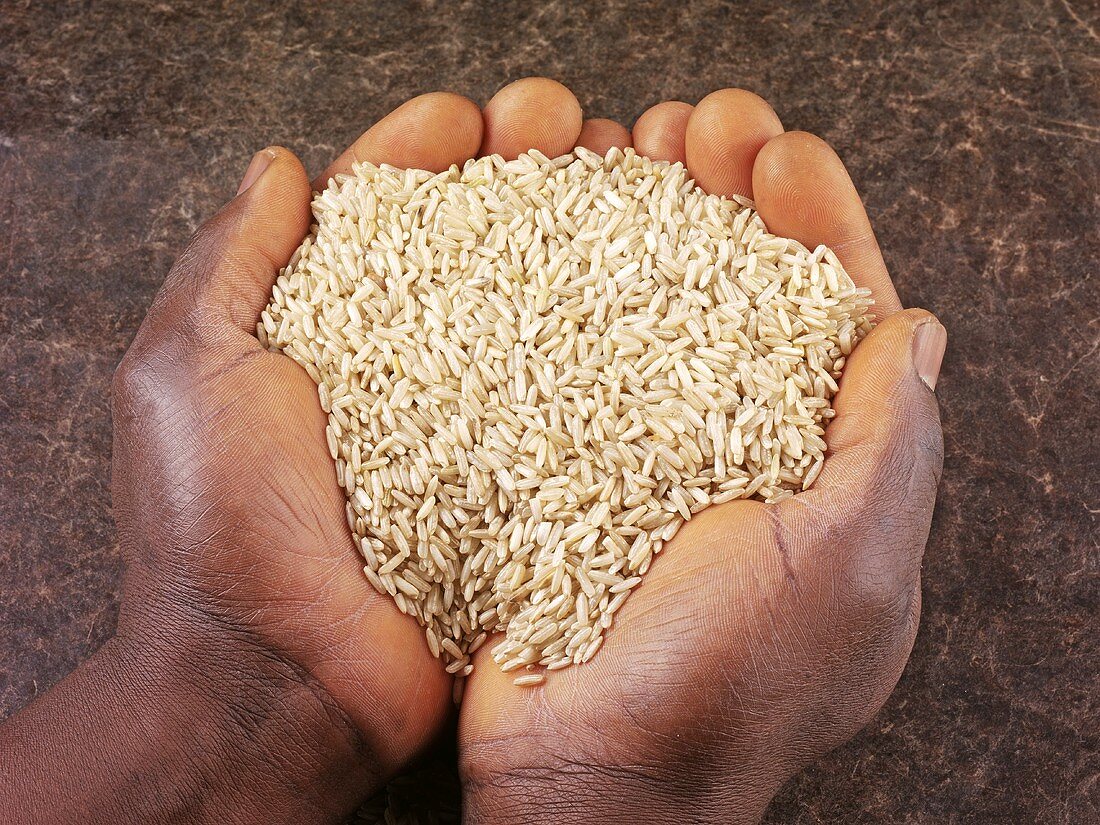 Hands holding brown rice