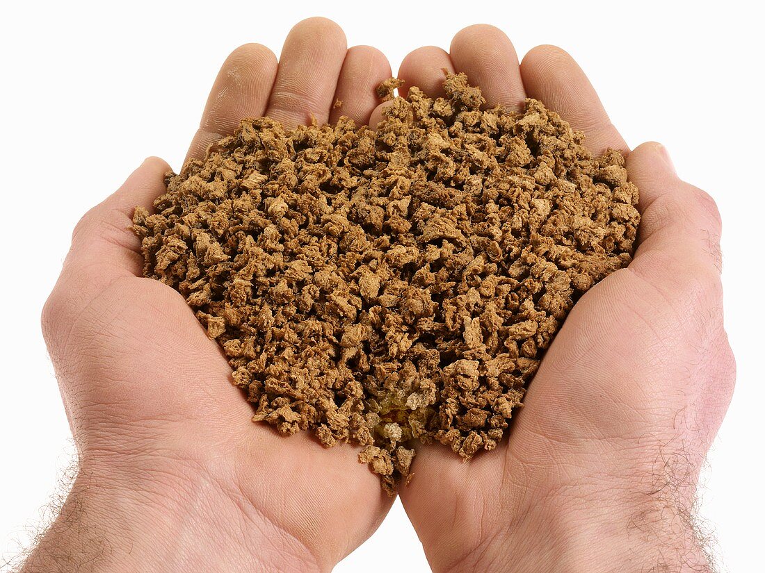 Hands holding soya mince