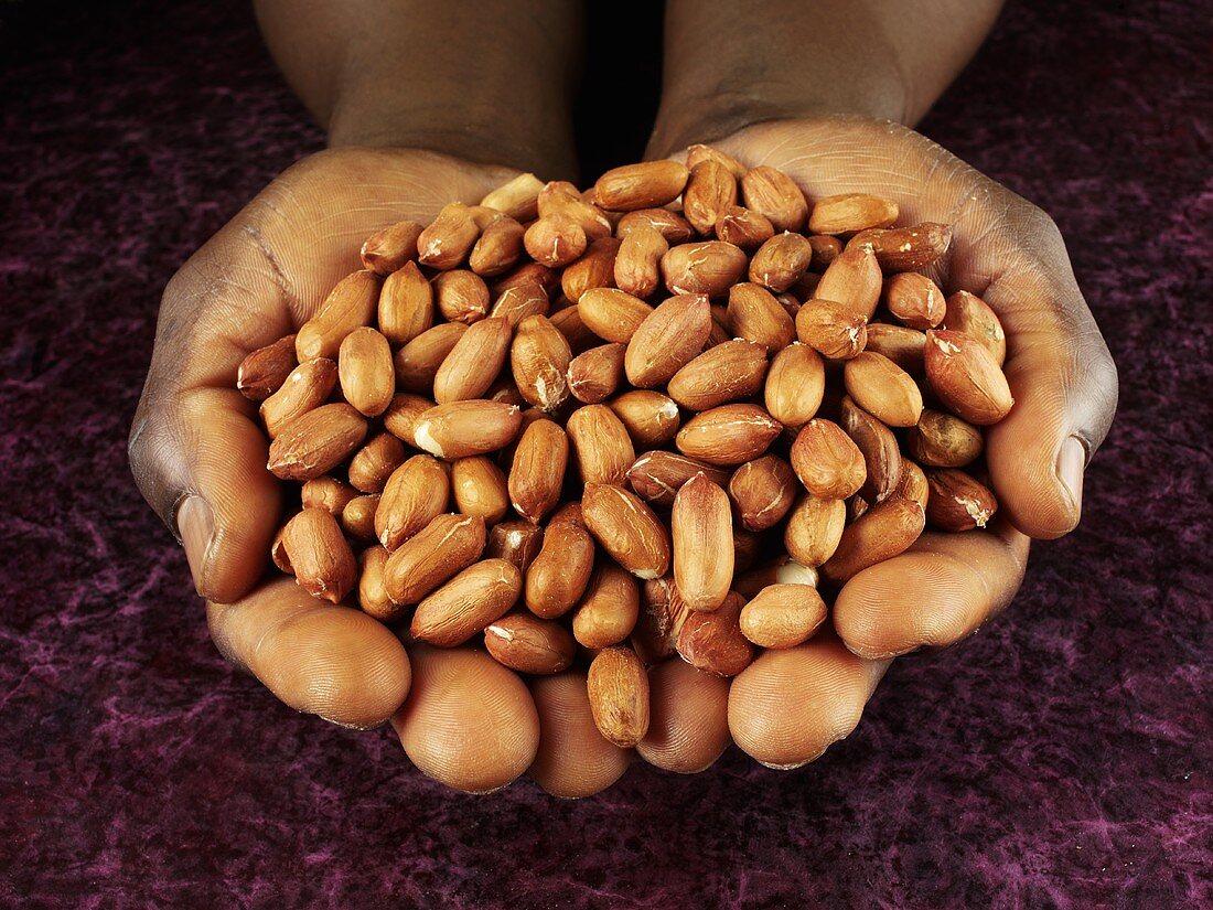 Hände halten geschälte Erdnüsse
