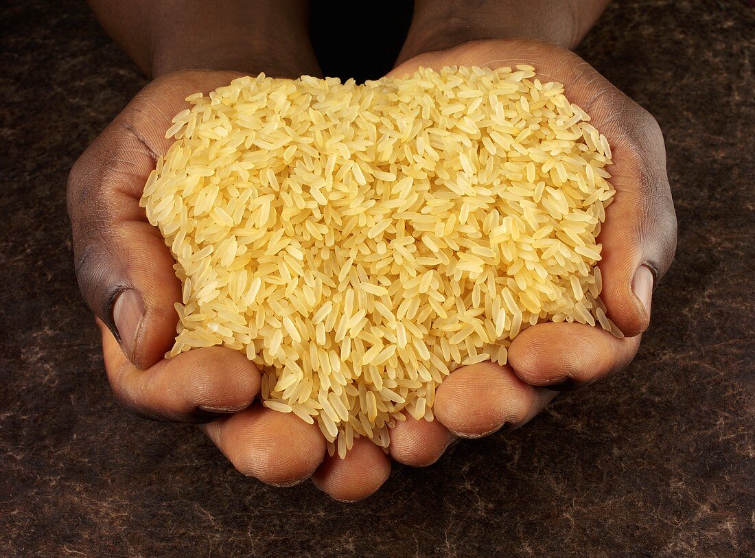 Hands holding long-grain rice