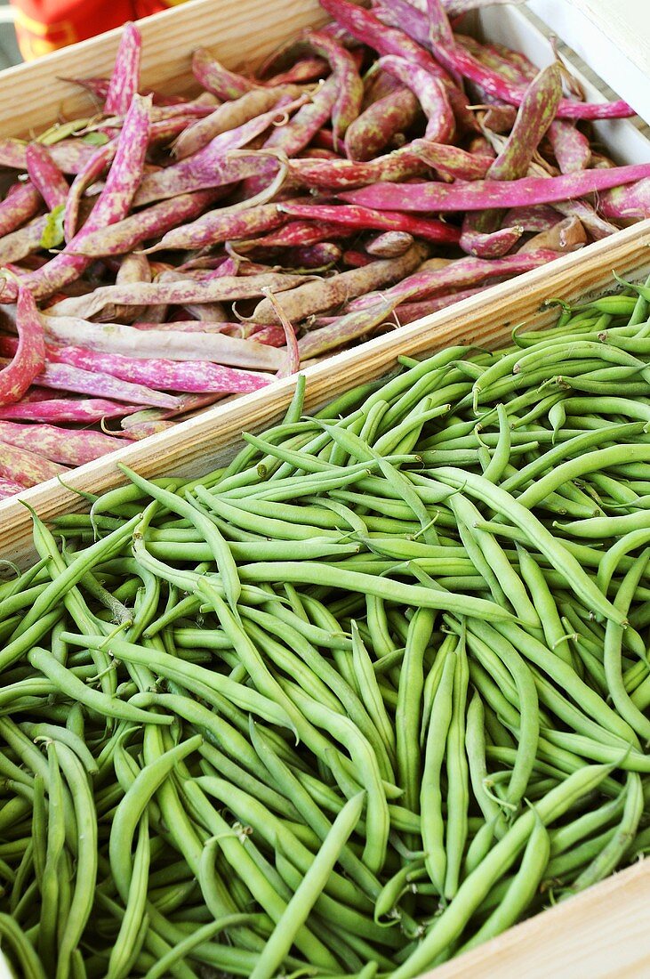 Beans in crates on a market stall