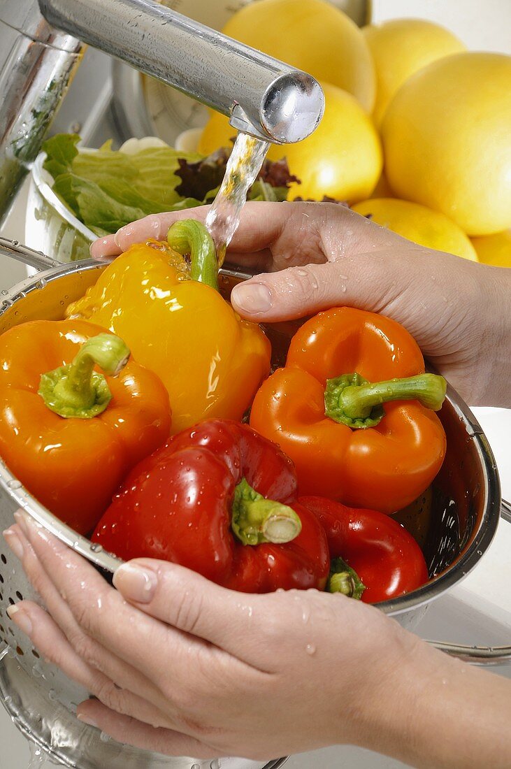 Frische Paprika und fließendem Wasser waschen