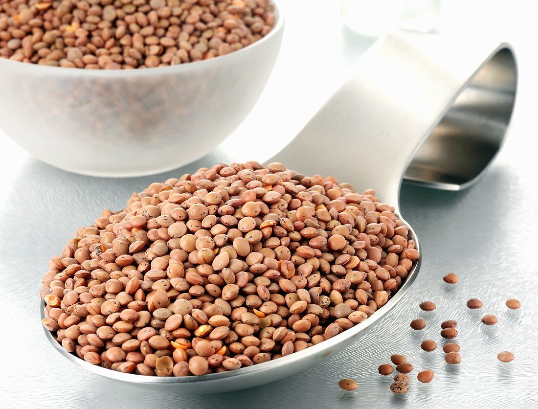 Brown lentils on a spoon and in a bowl