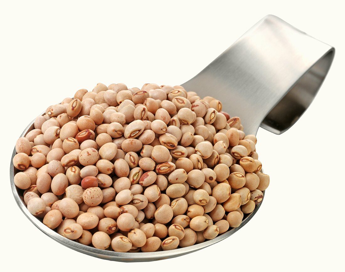 Borlotti beans on a spoon