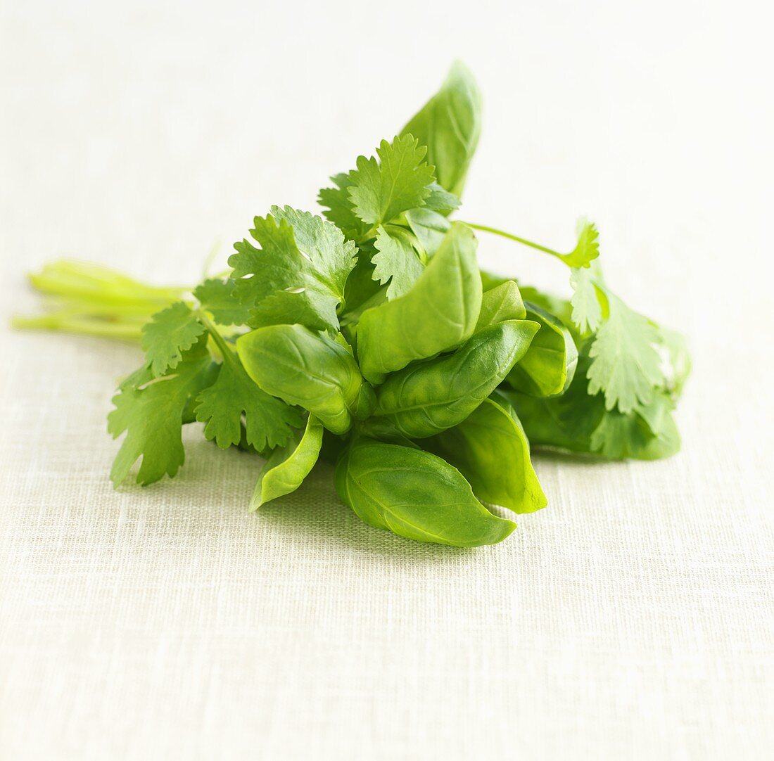 Bunch of basil and coriander