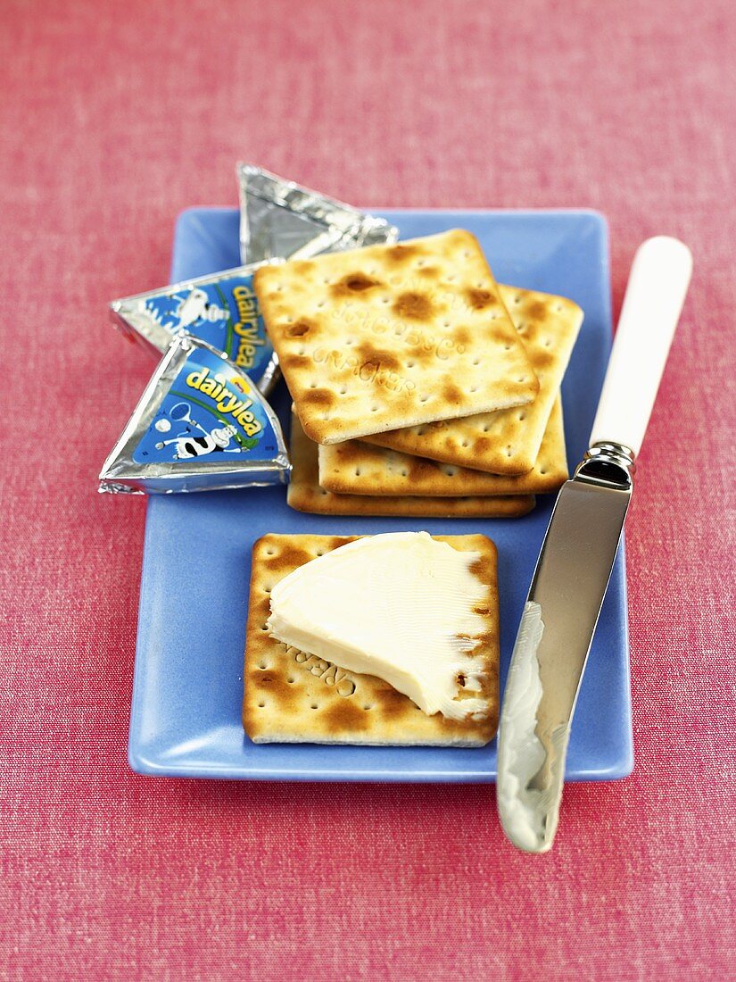 Cracker mit Dairylea-Schmelzkäse (England)