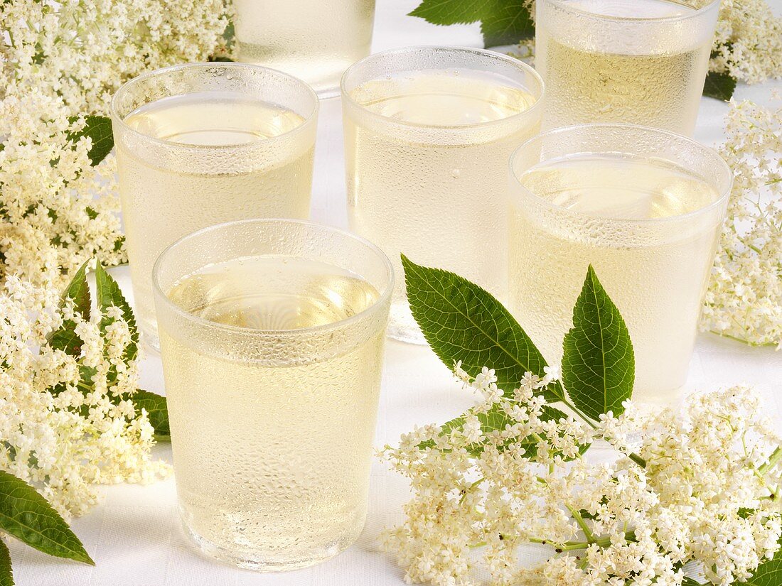 Holunderblüten-Limonade in Gläsern