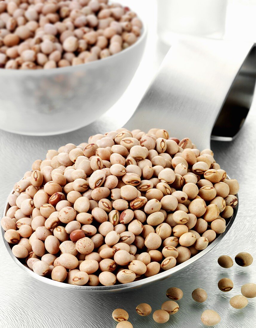 Borlotti beans on a spoon and in a glass bowl