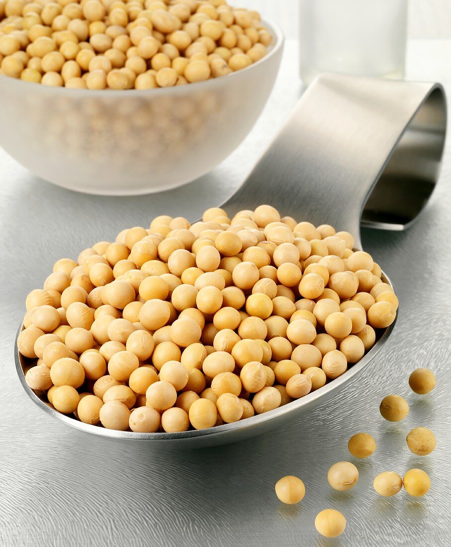 Soya beans on a spoon and in a glass bowl