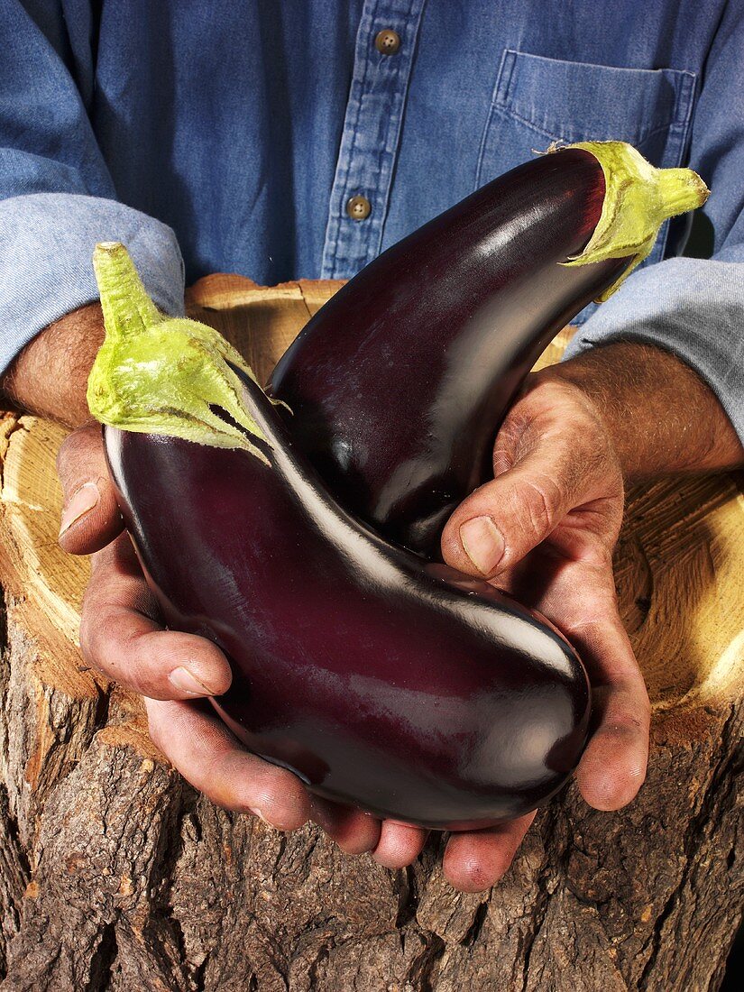 Man holding two aubergines over a tree trunk