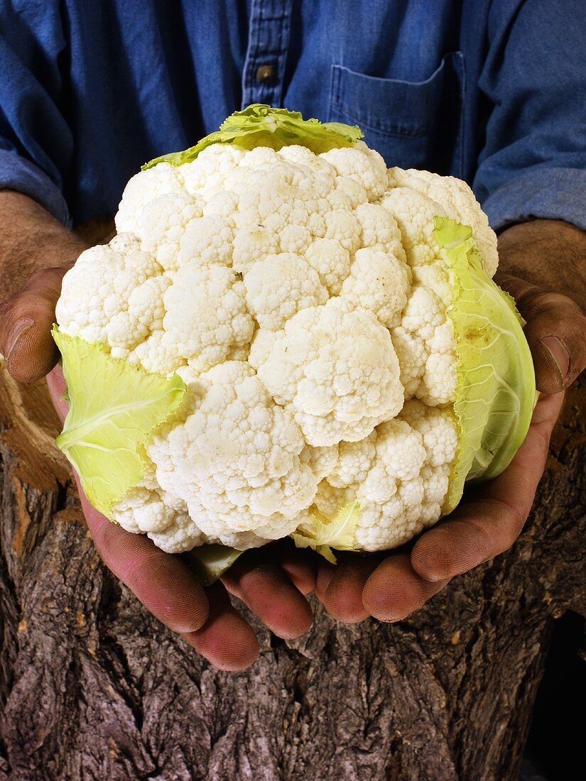 Man holding a cauliflower in both hands