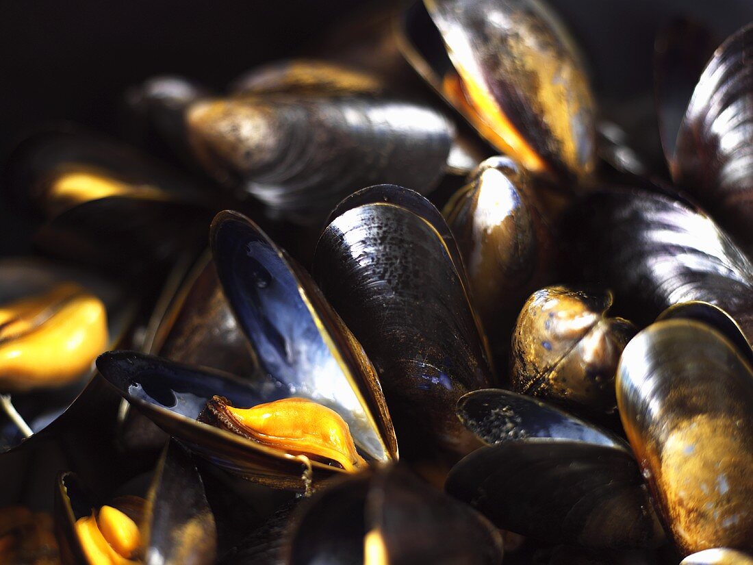 Cooked mussels