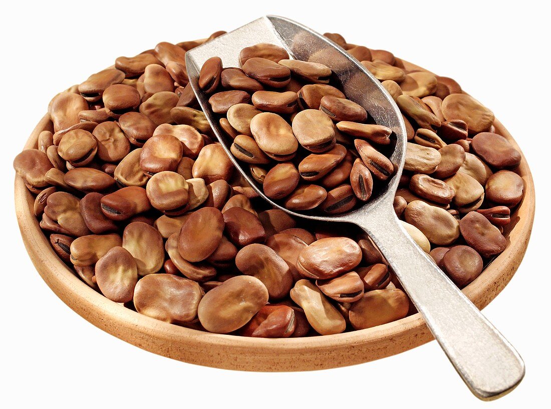 Dried broad beans in a terracotta dish with scoop